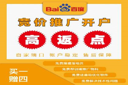某品牌SEM推广代运营的实践与效果评估